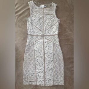 Elegant Lace Sleeveless Dress